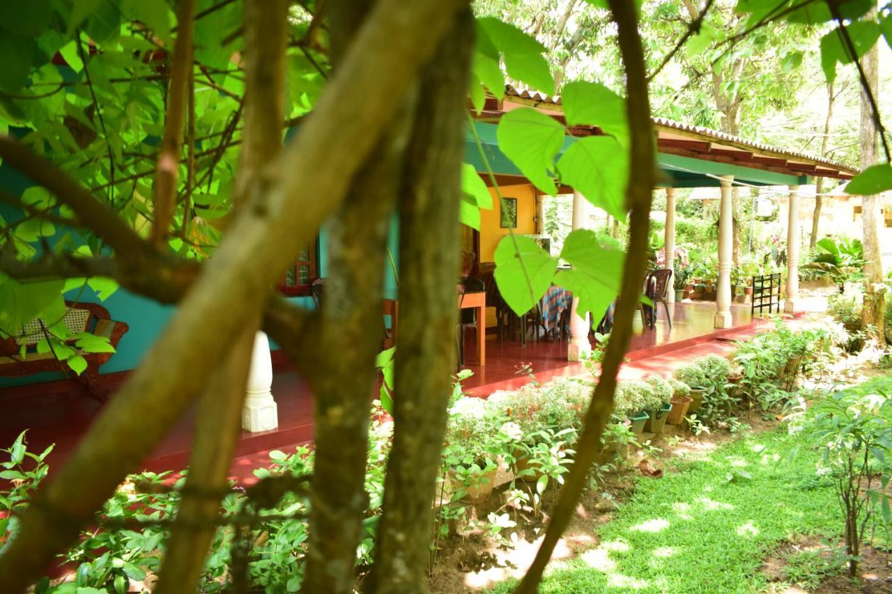 Palitha Homestay Sigiriya Exterior foto